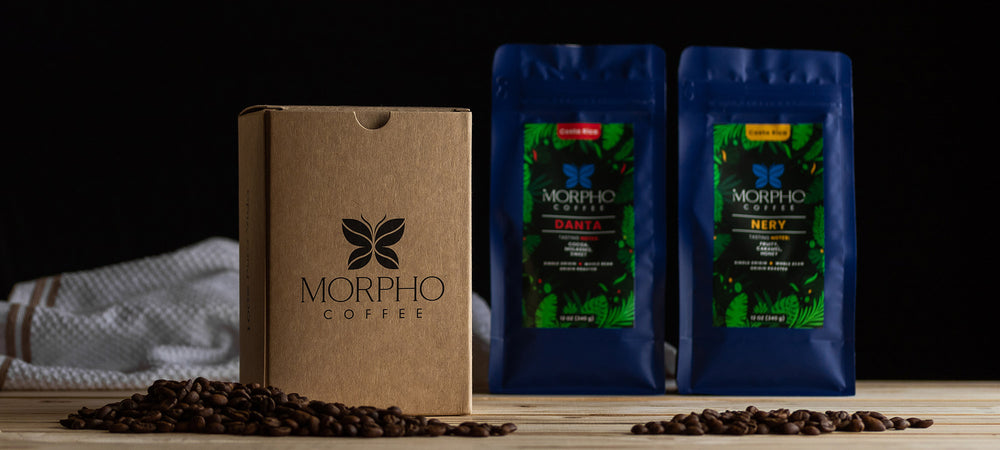 Morpho Coffee